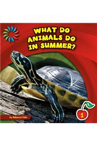 What Do Animals Do in Summer?