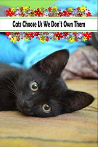 Cats Choose Us We Don't Own Them