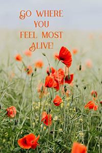 Go where you feel most alive