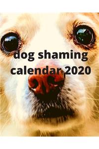 dog shaming Calendar 2020