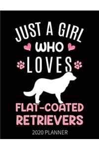 Just A Girl Who Loves Flat-Coated Retrievers 2020 Planner