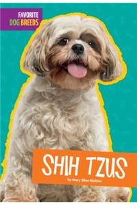 Shih Tzus