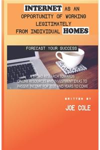 Internet as an Opportunity of Working Legitimately from Individual Homes
