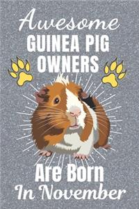 Awesome Guinea Pig Owners Are Born In November