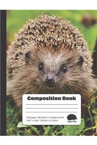Curious Hedgehog - College Ruled Composition Book