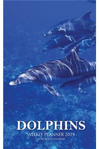 Dolphins Weekly Planner 2019