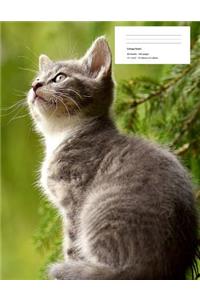 Cat Composition Notebook