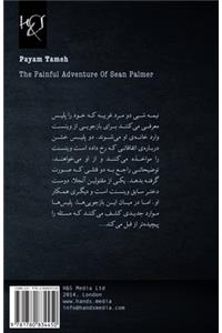 The Painful Adventure of Sean Palmer