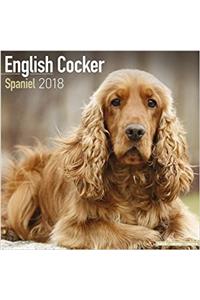 English Cocker Spaniel Calendar 2018 (Square)