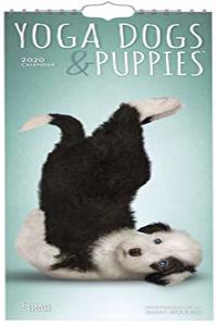 YOGA DOGS PUPPIES 2020 SLIM CALENDAR