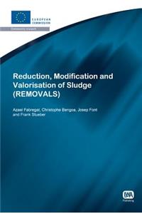 Reduction, Modification and Valorisation of Sludge