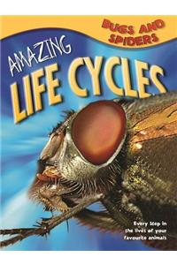 Amazing Life Cycles: Bugs and Spiders