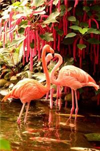 A Beautiful Flock of Pink Flamingos Journal
