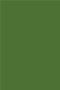 Olive Green 101 - Graph Notebook