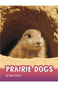 Prairie Dogs