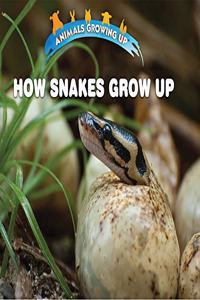 How Snakes Grow Up