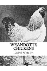 Wyandotte Chickens