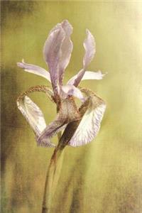 Purple Iris - Blank Notebook with Fleur de Lis Corners
