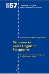 Grammar in Cross-Linguistic Perspective