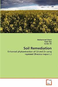 Soil Remediation