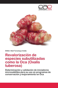 Revalorización de especies subutilizadas como la Oca (Oxalis tuberosa)