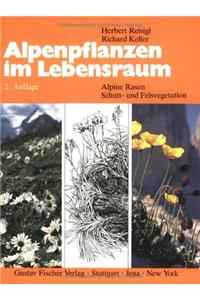 Alpenpflanzen im Lebensraum