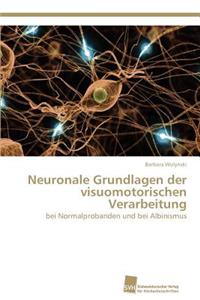 Neuronale Grundlagen der visuomotorischen Verarbeitung