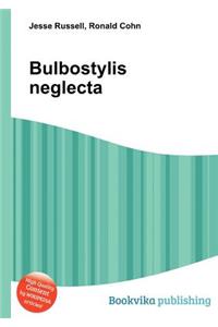 Bulbostylis Neglecta