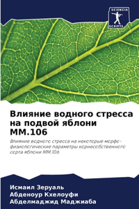 Влияние водного стресса на подвой яблони MM.10