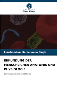 Erkundung Der Menschlichen Anatomie Und Physiologie
