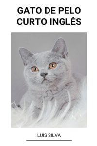 Gato de Pelo Curto Inglês