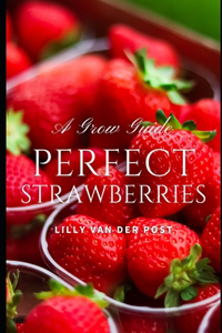 Perfect Strawberries