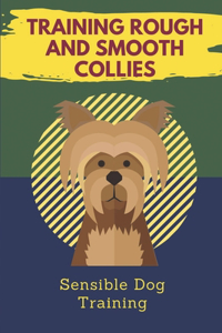Training Rough And Smooth Collies