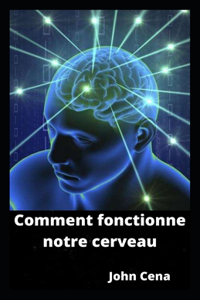 Comment fonctionne notre cerveau