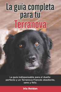 Guía Completa Para Tu Terranova