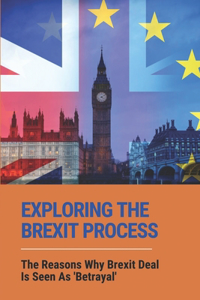 Exploring The Brexit Process