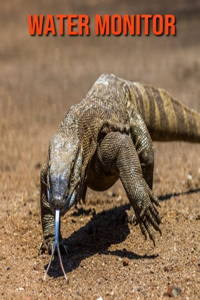Water Monitor
