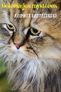 Coloriages mystères Animaux fantastiques