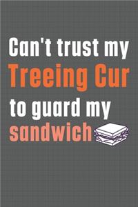 Can't trust my Treeing Cur to guard my sandwich