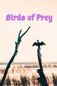 Birds of Prey