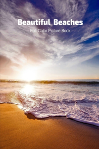 Beautiful Beaches Full-Color Picture Book
