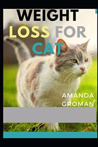 Weight Loss For Cat