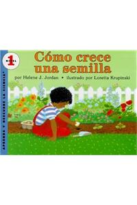 Como Crece Una Semilla