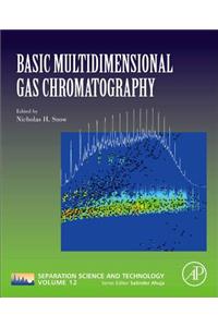 Basic Multidimensional Gas Chromatography