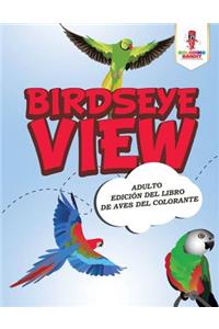 Birdseye View