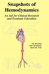 Snapshots of Hemodynamics