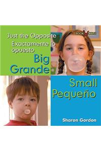 Grande, Pequeno / Big, Small