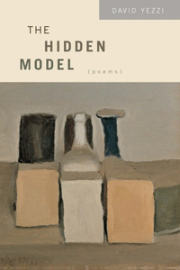 Hidden Model