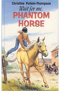 Wait for Me Phantom Horse