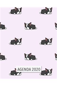 Agenda 2020
